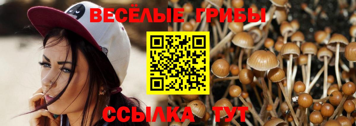 Псилоцибиновые грибы Psilocybe  Вход с VPN  Кропоткин 